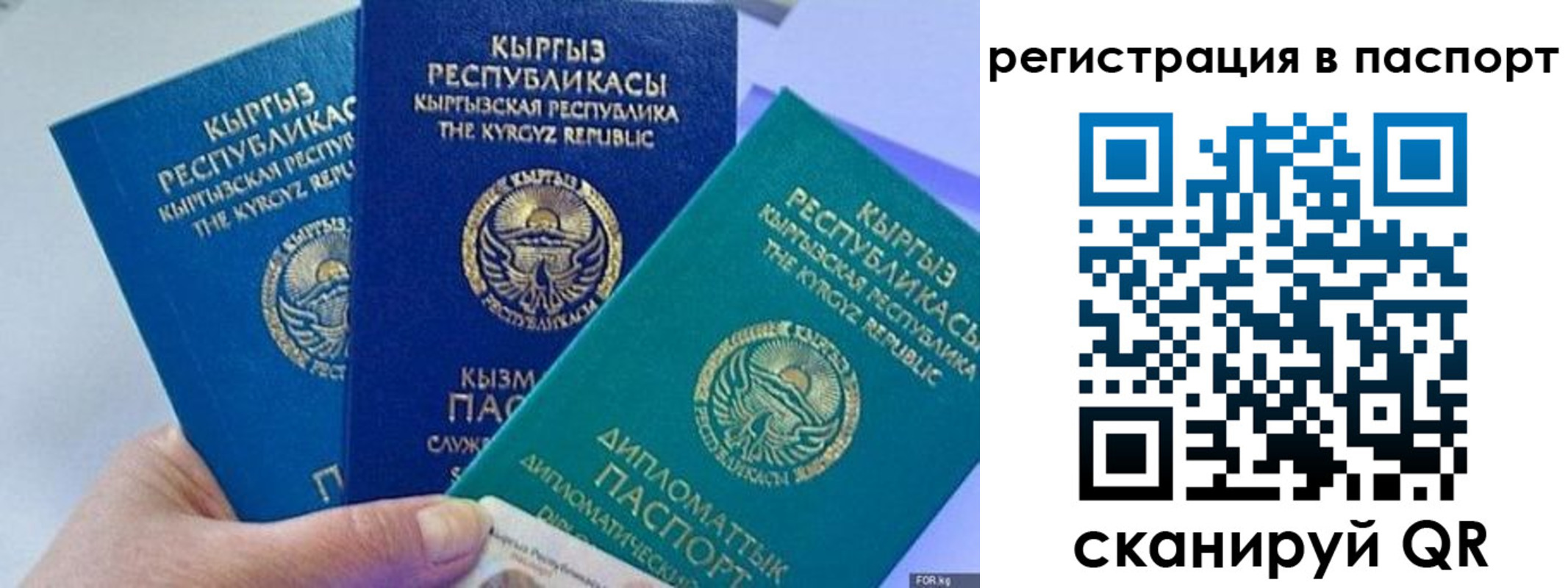 прописка 2025 в Емве